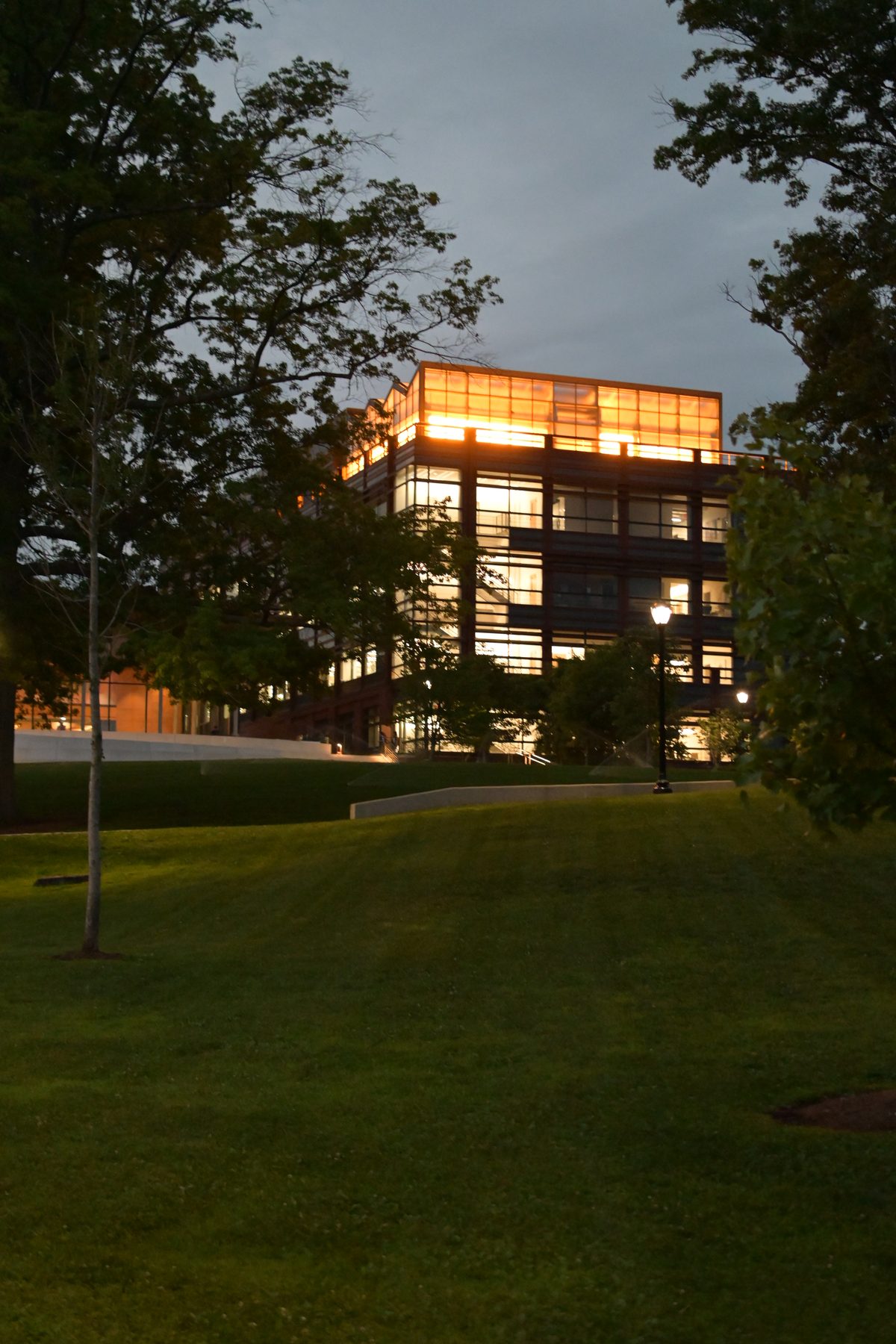 Yale University — photo 3