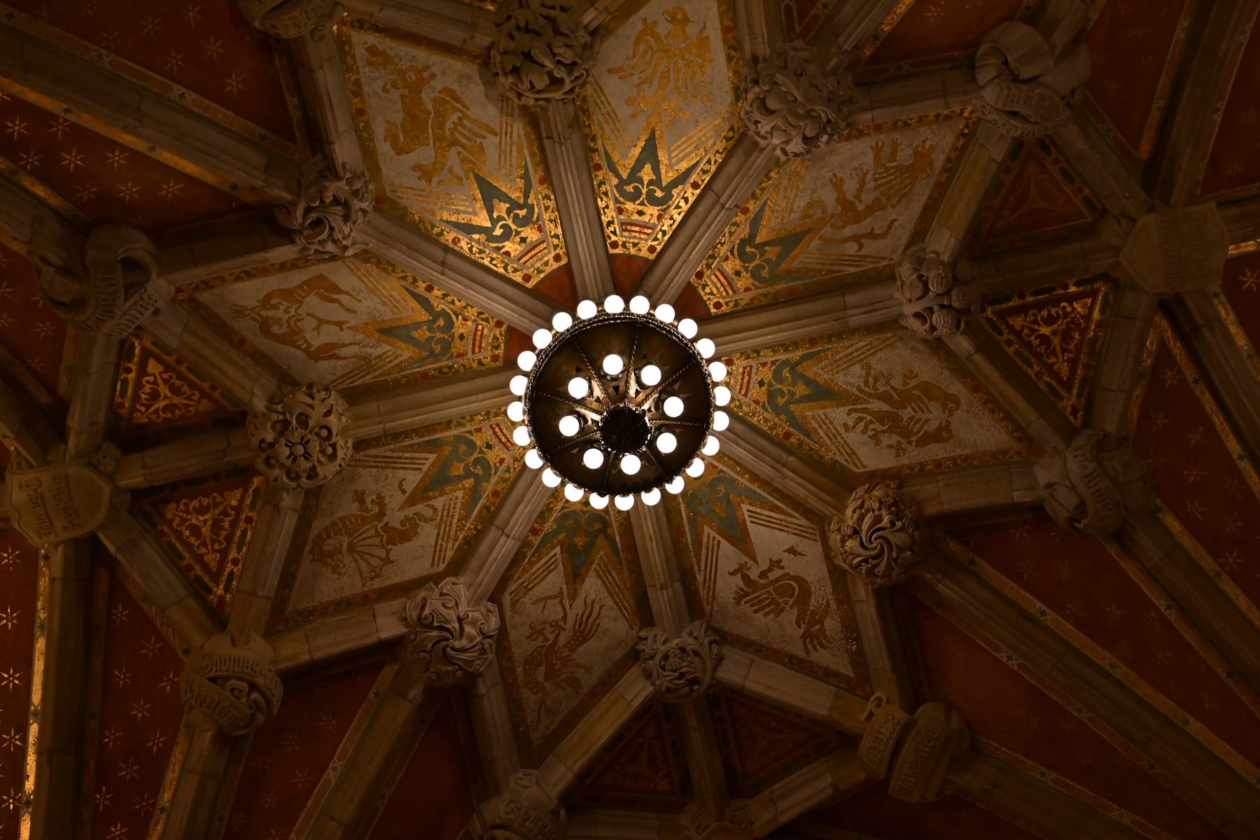 Yale University — photo 8