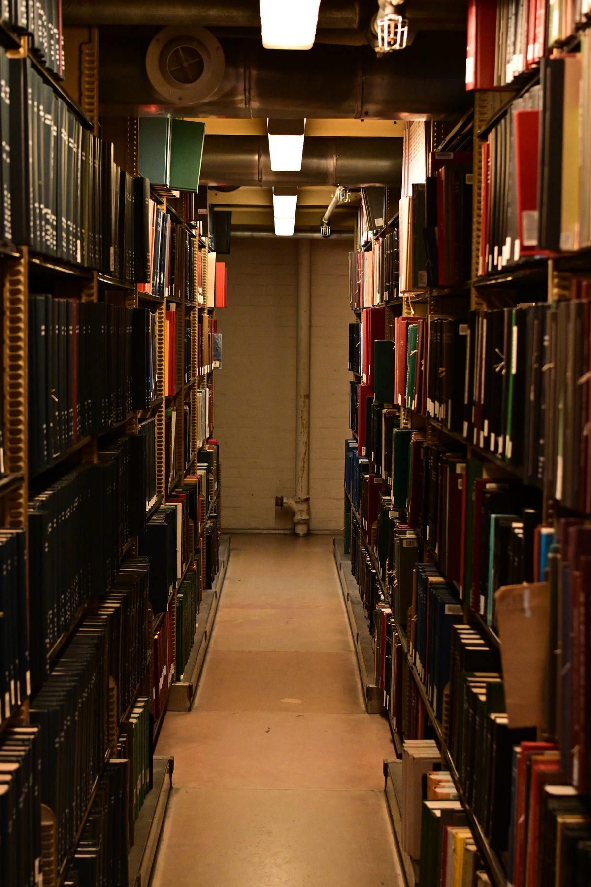 Yale University — photo 11