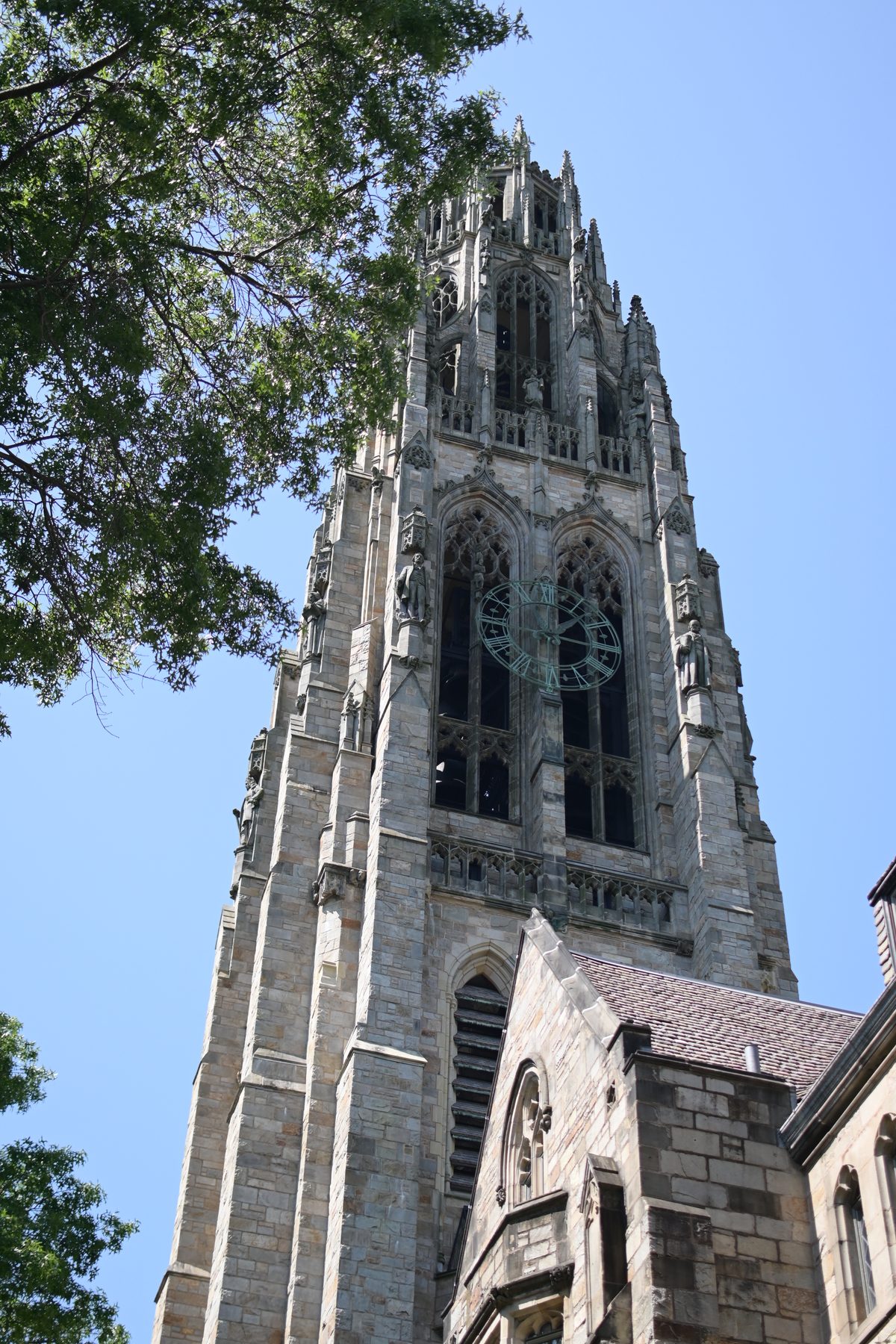 Yale University — photo 24