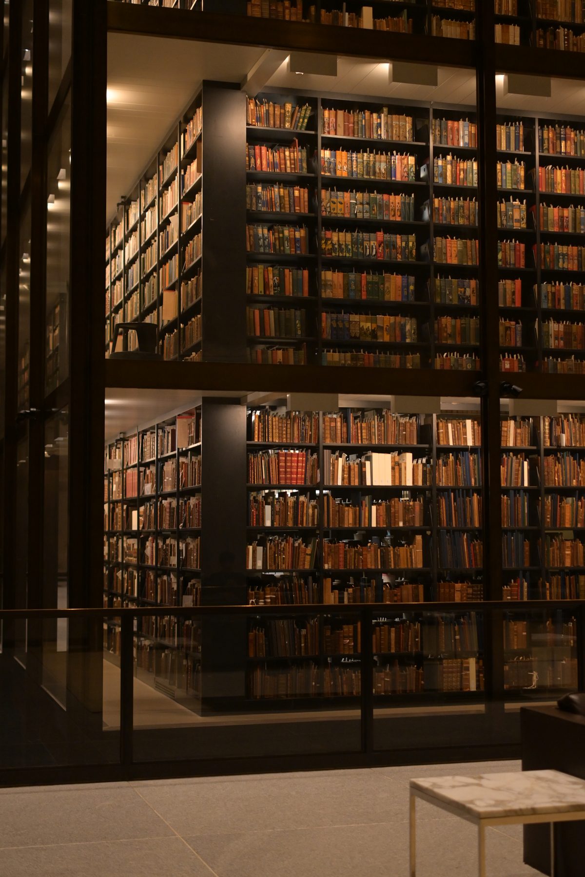 Yale University — photo 30