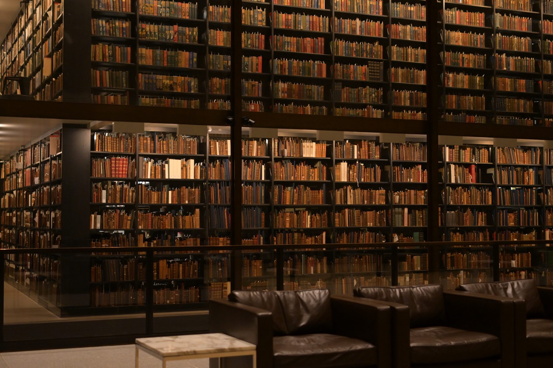 Yale University — photo 31