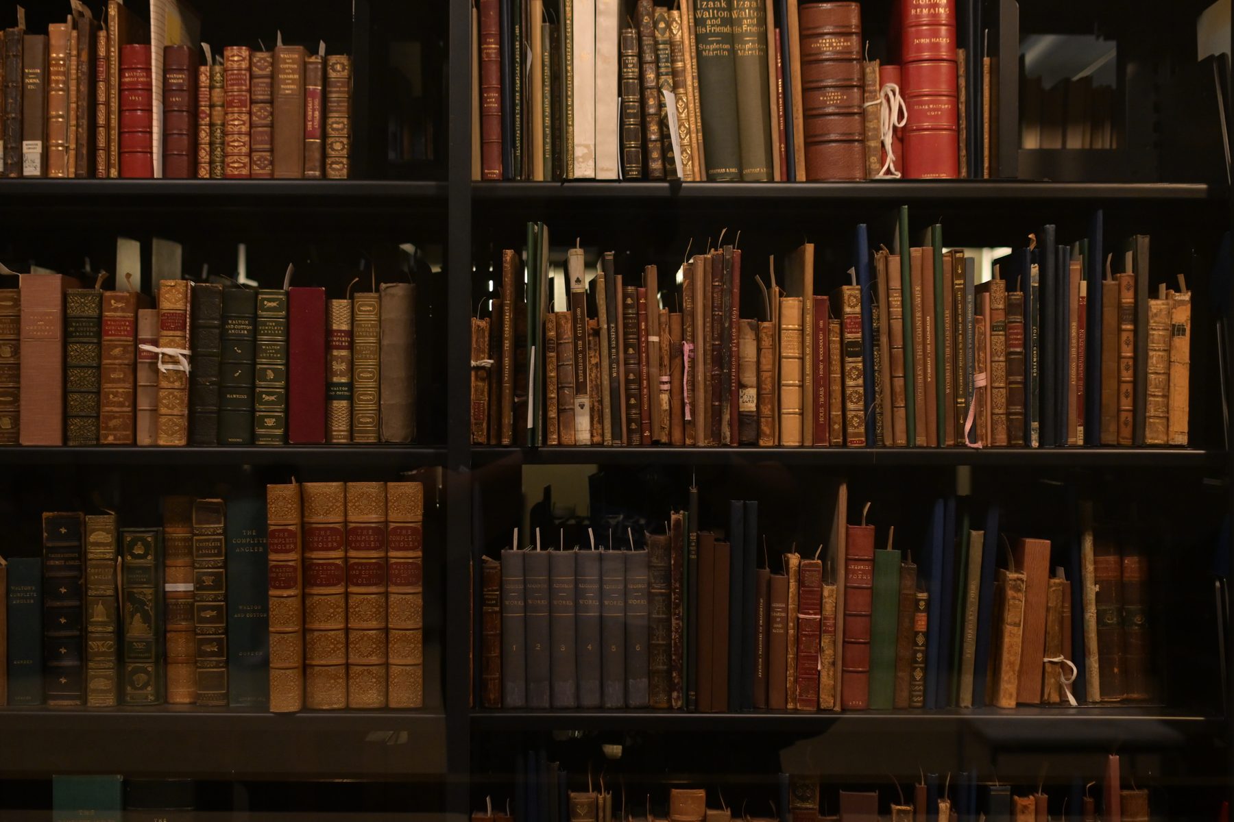 Yale University — photo 32